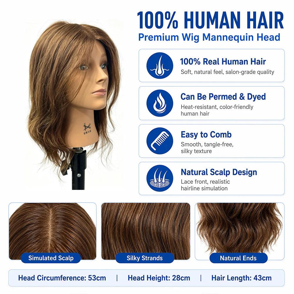 Full Real Hair Salon Practice Head Model Human Model Model Head Wig Head Model, Curly Hair, Dyed Hair